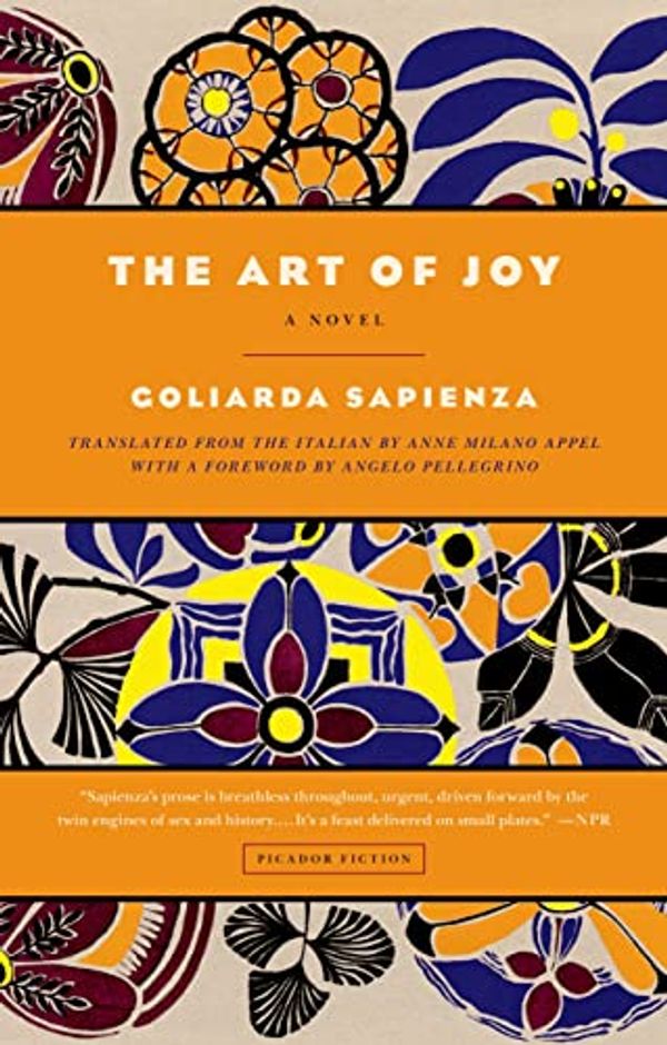 Cover Art for 9781250050243, The Art of Joy by Goliarda Sapienza