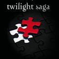 Cover Art for 9789047519904, Het officiele geillustreerde boek bij de Twilight saga by Stephenie Meyer