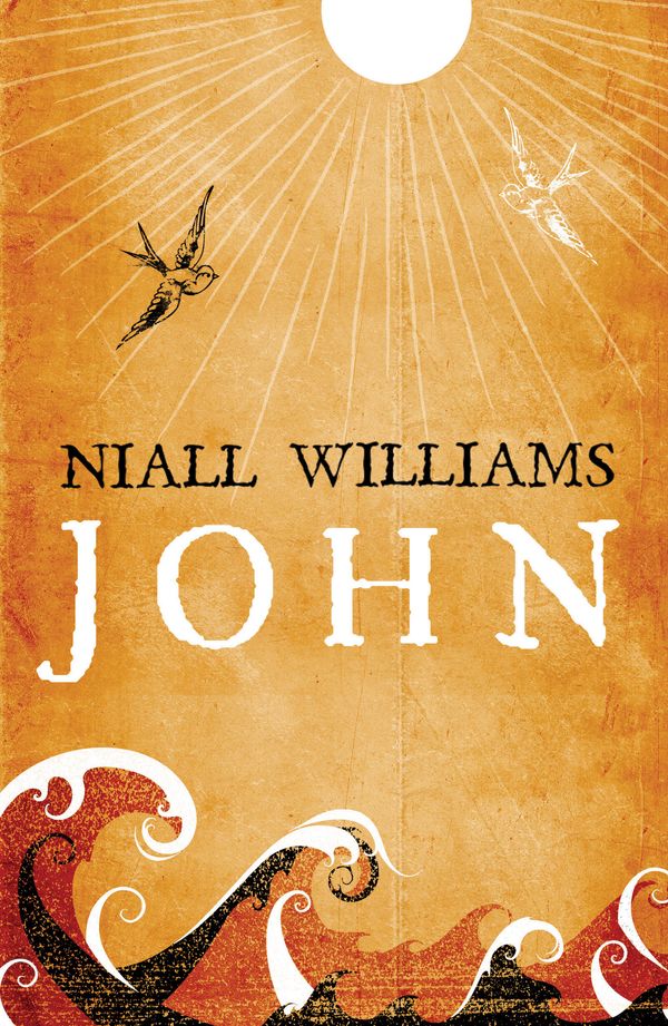 Cover Art for 9780747595816, John by Niall Williams