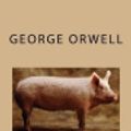 Cover Art for 9781986542524, Animal Farm by George Orwell