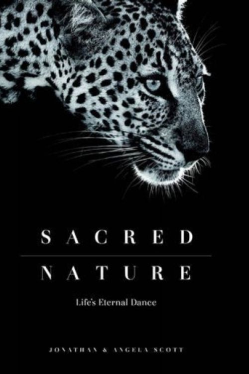 Cover Art for 9780994692405, Sacred Nature: Life's Eternal Dance by Angela Scott