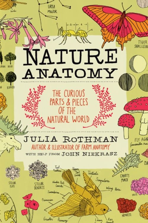 Cover Art for 9781612122311, Nature Anatomy: The Curious Parts and Pieces of the Natural World by Julia Rothman