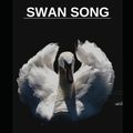 Cover Art for 9798375972442, Swan Song by John Galsworthy