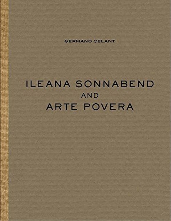Cover Art for 9781944379193, Ileana Sonnabend and Arte Povera by Michelangelo Pistoletto