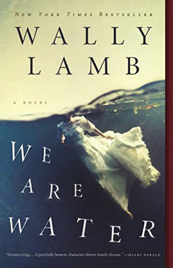 Cover Art for 9780606358873, We Are Water (P.S.) by Wally Lamb