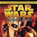 Cover Art for 9780345475725, Star Wars: Labyrinth of Evil by James Luceno