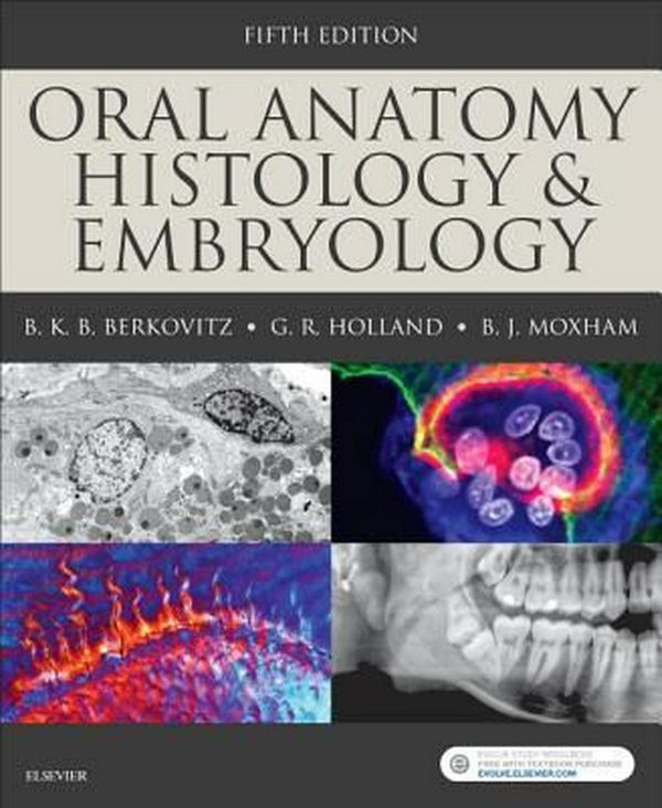 Cover Art for 9780723438120, Oral Anatomy, Histology and Embryology, 5e by Berkovitz BDS (Eng), Barry, MSC, Ph.D., FDS, KB, Holland BSc CERT ENDO, G. R., BDS, Ph.D., Moxham BSc FHEA FRSB Hon FSAE, Bernard J., BDS, Ph.D., FAS