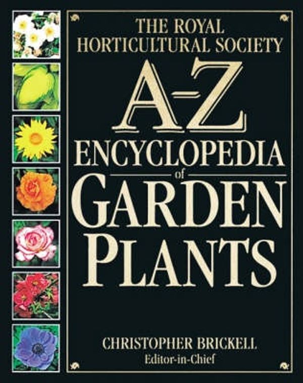 Cover Art for 9780751304367, Royal Horticultural Society A-Z Encyclopedia of Garden Plants by Christopher Brickell
