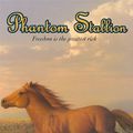 Cover Art for 9780060537258, Phantom Stallion #7: Desert Dancer by Terri Farley