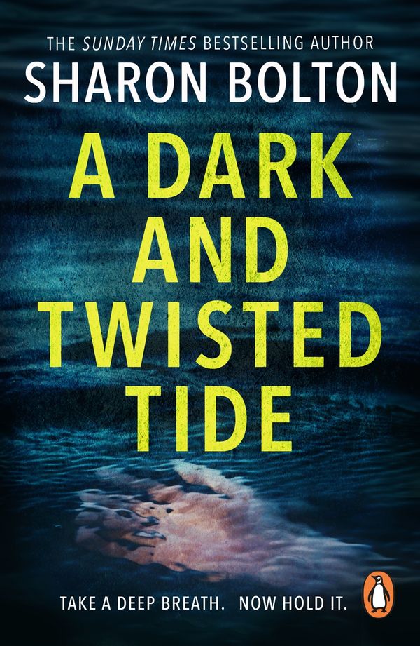 Cover Art for 9781446487846, A Dark and Twisted Tide: Lacey Flint Series, Book 4 by Sharon Bolton
