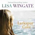 Cover Art for 9780764208218, Larkspur Cove by Lisa Wingate