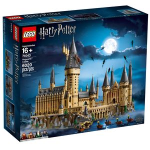 Cover Art for 5702016110319, Hogwarts Castle Set 71043 by LEGO