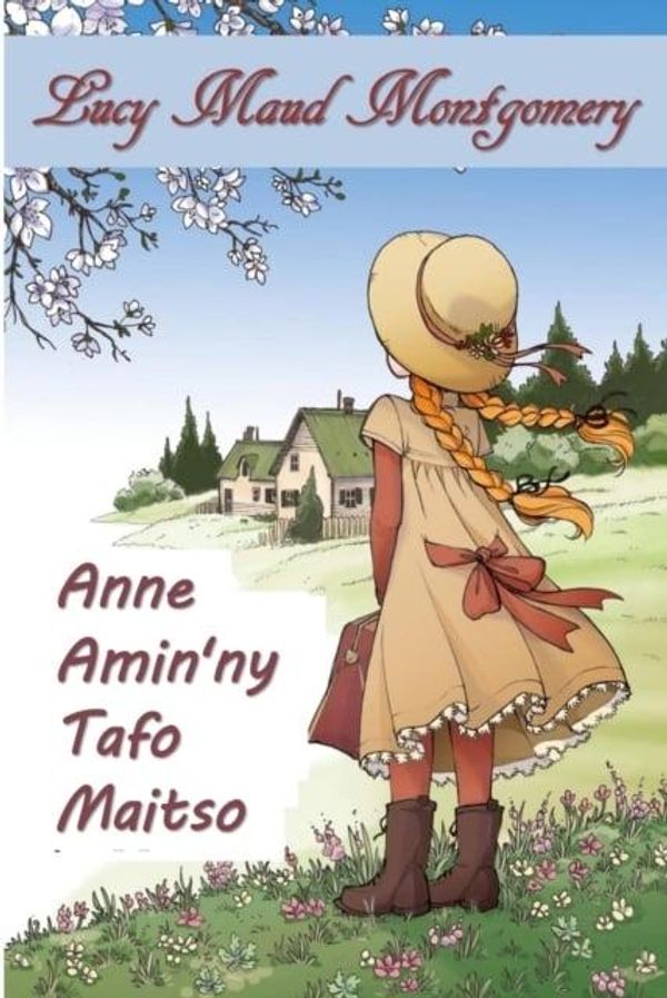 Cover Art for 9783746993188, Anne Maitso Tapenaka: Anne of Green Gables, Malagasy Edition by Marva Aurin