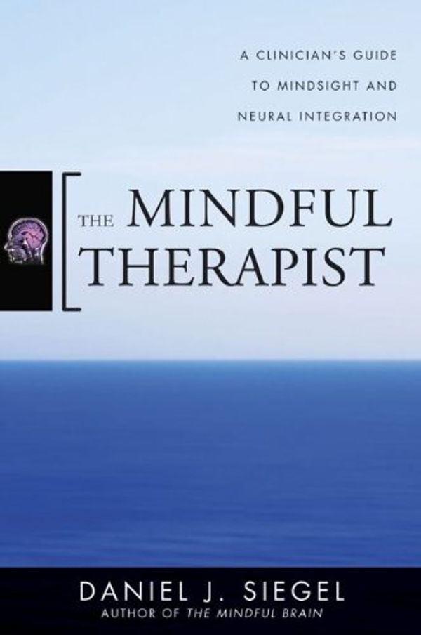 Cover Art for B003R7L912, The Mindful Therapist: A Clinician's Guide to Mindsight and Neural Integration (Norton Series on Interpersonal Neurobiology) by Daniel J. Siegel
