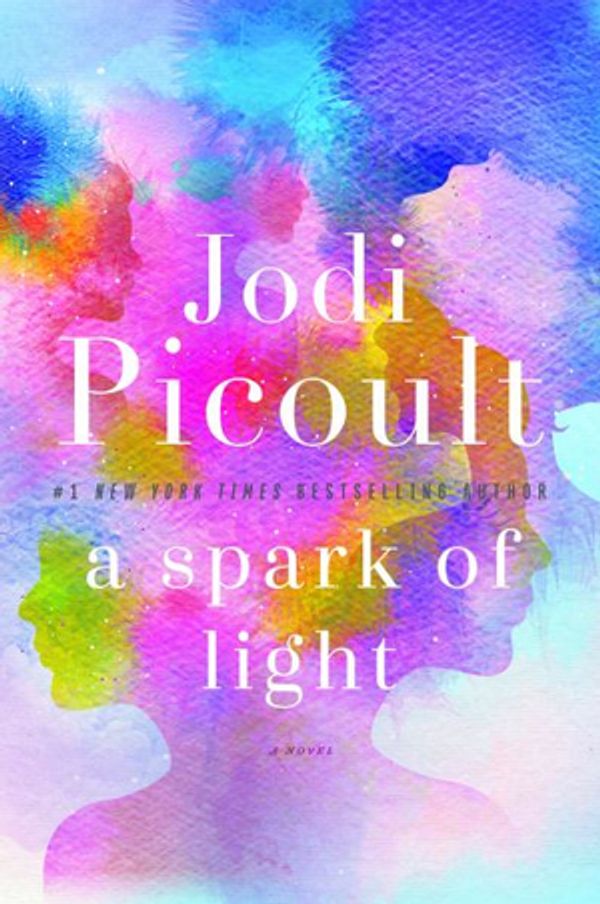 Cover Art for 9781410463753, A Spark of Light by Jodi Picoult