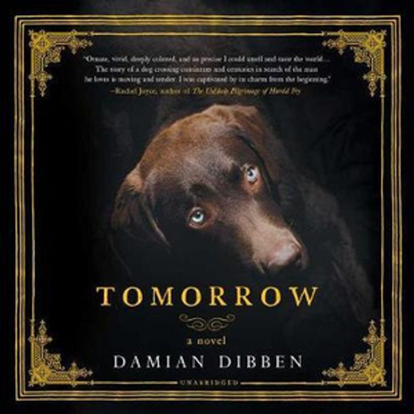 Cover Art for 9781538510339, Tomorrow by Damian Dibben