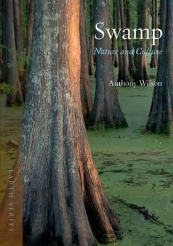 Cover Art for 9781780238449, Swamp by Anthony Wilson