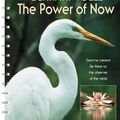 Cover Art for 9781602377783, The Power of Now by Eckhart Tolle
