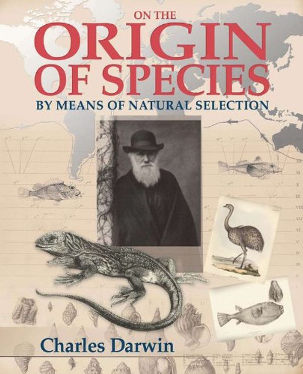 Cover Art for 9780785824923, On The Origin Of Species by Charles Darwin