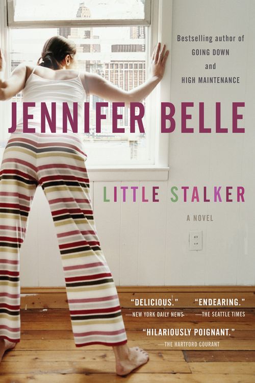 Cover Art for 9781594482922, Little Stalker by Jennifer Belle