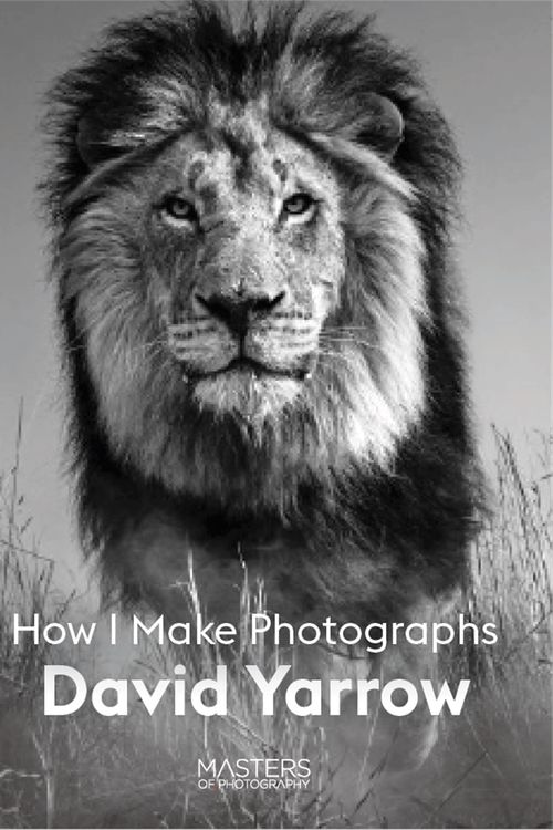 Cover Art for 9781913947101, David Yarrow: How I Make Photographs (Masters of Photography) by David Yarrow