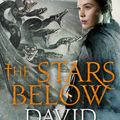 Cover Art for 9781529013290, The Stars Below: Vega Jane 4 by David Baldacci