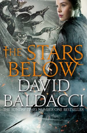Cover Art for 9781529013290, The Stars Below: Vega Jane 4 by David Baldacci