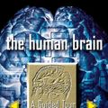 Cover Art for 9780786724956, The Human Brain by Susan Greenfield