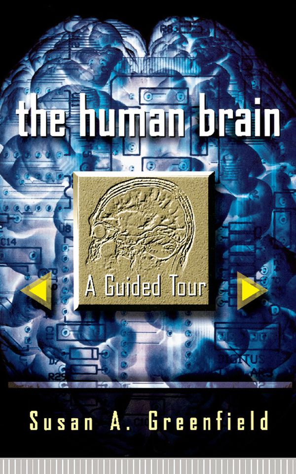 Cover Art for 9780786724956, The Human Brain by Susan Greenfield