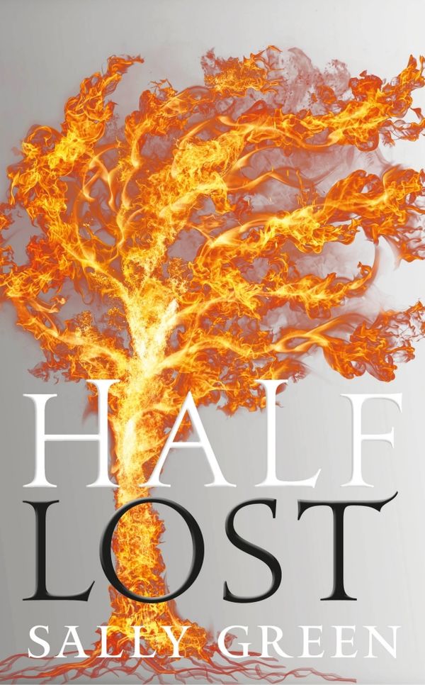 Cover Art for 9780141364841, Half Lost by Sally Green