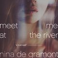 Cover Art for 9781416980162, Meet Me at the River by Nina de Gramont