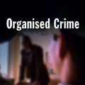 Cover Art for 9781134018901, Organised Crime by Alan Wright