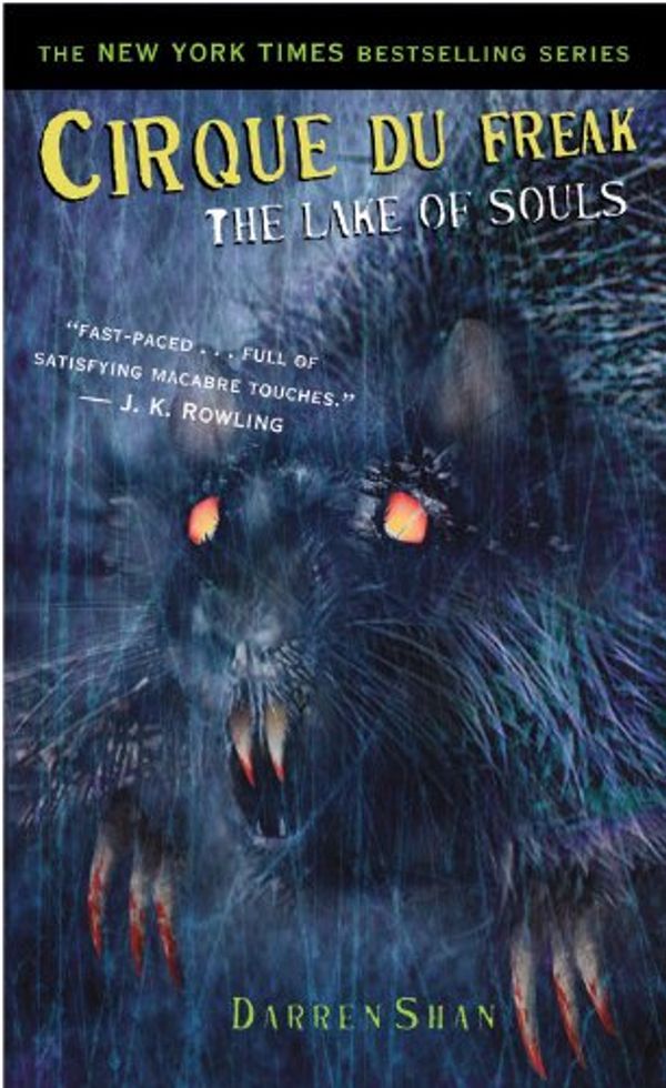 Cover Art for 9780316154376, The Lake of Souls by Darren Shan