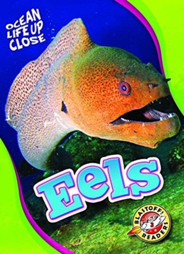 Cover Art for 9781626177659, Eels (Ocean Life Up Close) by Nathan Sommer