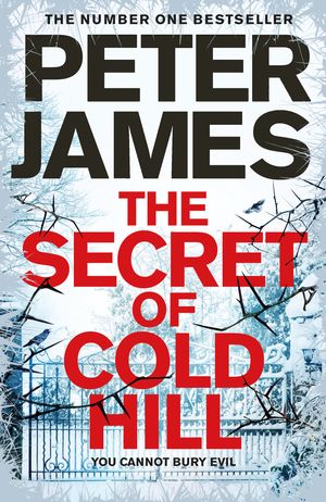 Cover Art for 9781509816231, The Secret of Cold Hill by Peter James