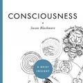 Cover Art for 9781402775284, Consciousness (A Brief Insight) by Susan Blackmore
