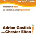 Cover Art for 9781439182451, The Orange Revolution by Adrian Robert Gostick