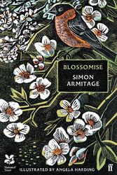 Cover Art for 9780571388417, Blossomise by Simon Armitage
