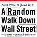 Cover Art for 9780393330335, A Random Walk Down Wall Street by Burton G. Malkiel