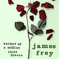 Cover Art for 9780719561160, My Friend Leonard by James Frey
