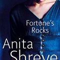 Cover Art for B00P6TZGD6, Fortune's Rocks by Anita Shreve