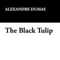 Cover Art for 9781434495396, The Black Tulip by Alexandre Dumas