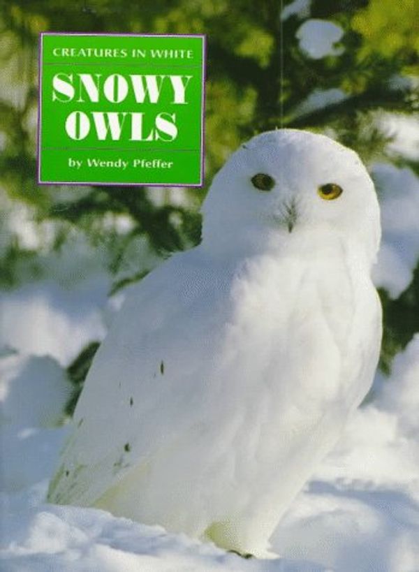 Cover Art for 9780382393228, Snowy Owls by Wendy Pfeffer