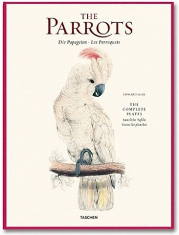 Cover Art for 9783822852743, Edward Lear, Parrots by Francesco Solinas, Rainer Willmann Dr., Solphia Willmann