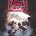 Cover Art for B012HU490C, Surprise Island (The Boxcar Children Mysteries) ( Cover may Vary ) - January, 1989 by Warner, Gertrude Chandler