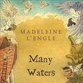 Cover Art for 9780312368579, Many Waters by Madeleine L'Engle