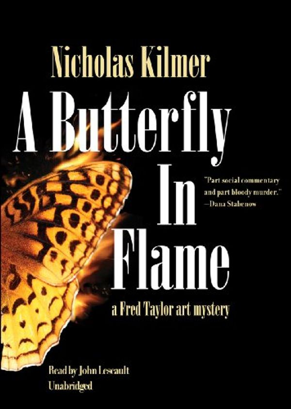 Cover Art for 9781441766670, A Butterfly in Flame by Nicholas Kilmer