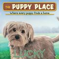 Cover Art for 9780545083478, Lucky by Ellen Miles