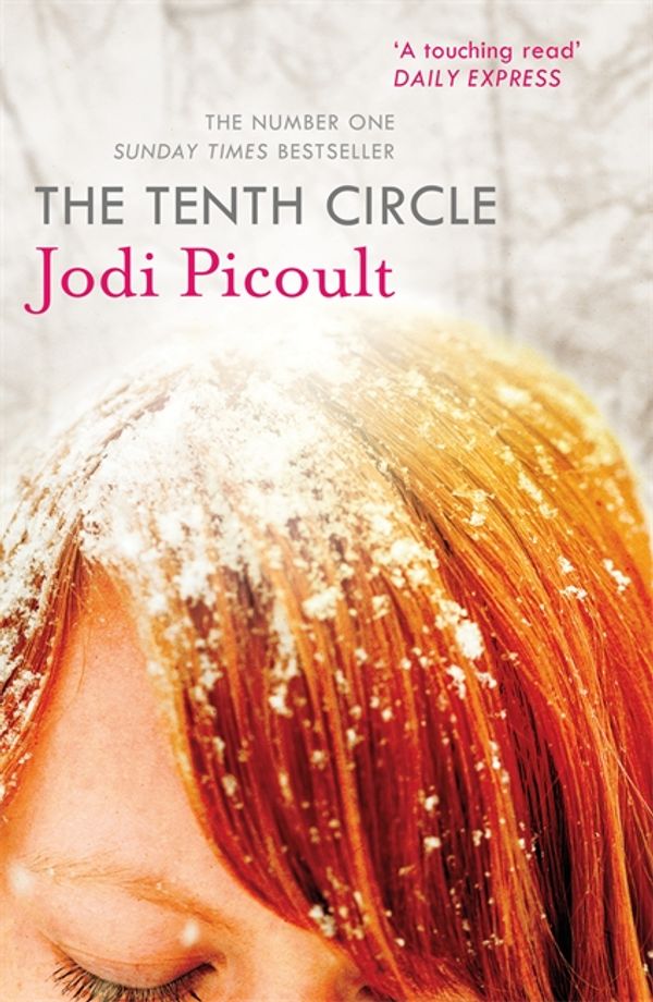 Cover Art for 9781444754605, The Tenth Circle by Jodi Picoult