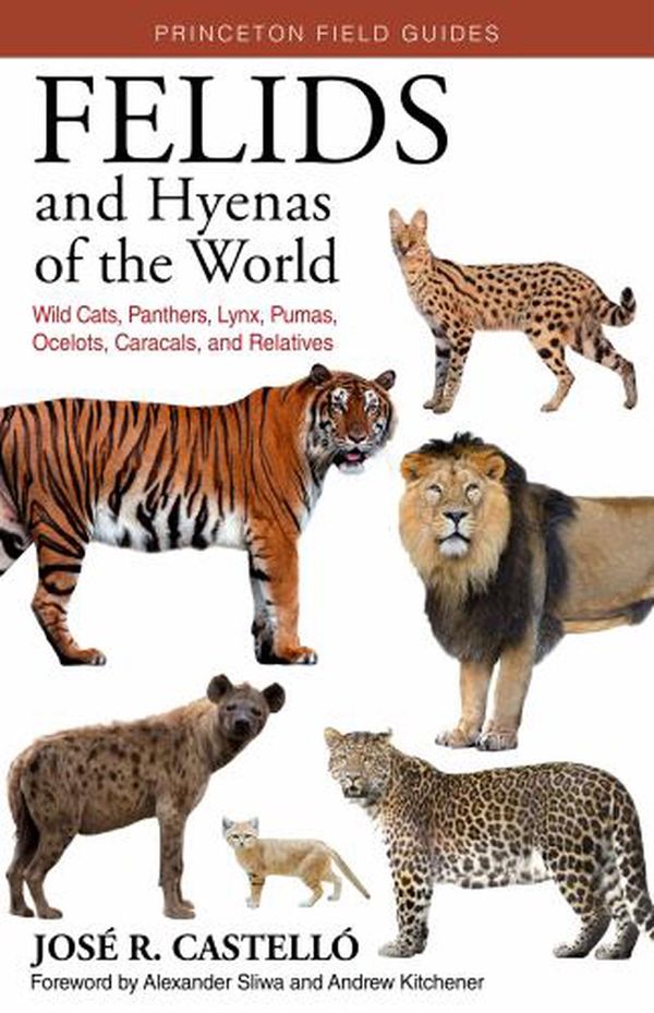Cover Art for 9780691208459, Felids and Hyenas of the World: Wild Cats, Panthers, Lynx, Pumas, Ocelots, Caracals, and Relatives by Castelló, José R.